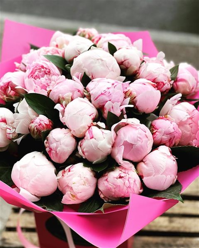 Lush Peonies