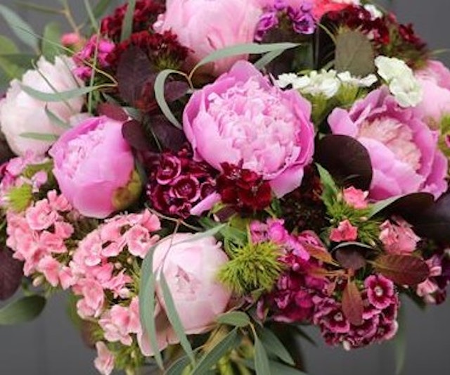 Pink Peonies