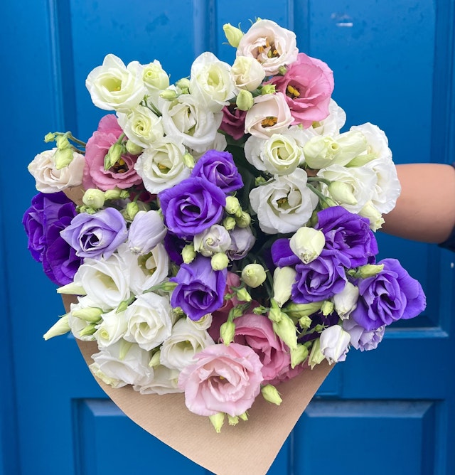 Pretty Lisianthus