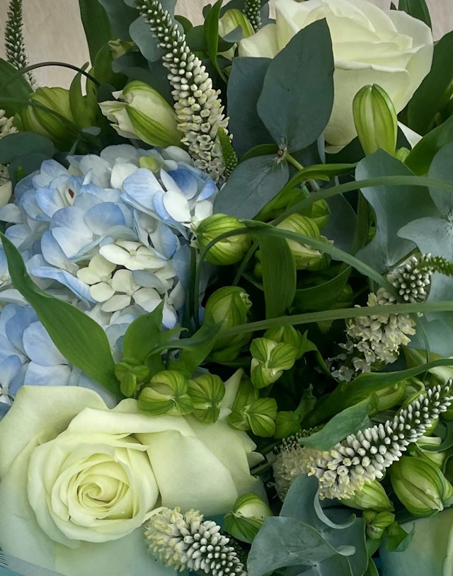 Blue ocean tied bunch