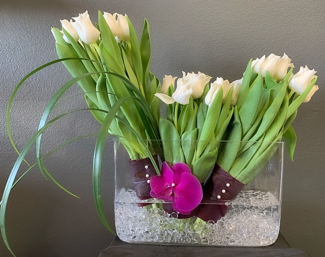 Modern tulips