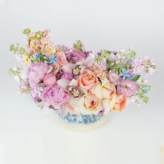 Cheviot Hills Whimsy