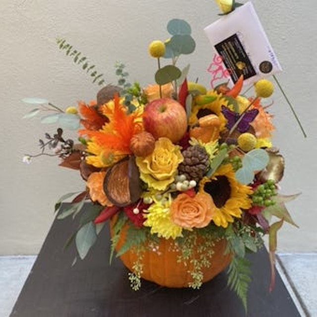 PUMPKINCOPIA THANKSGI