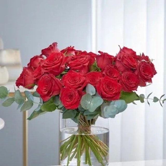 12 red roses in ocean