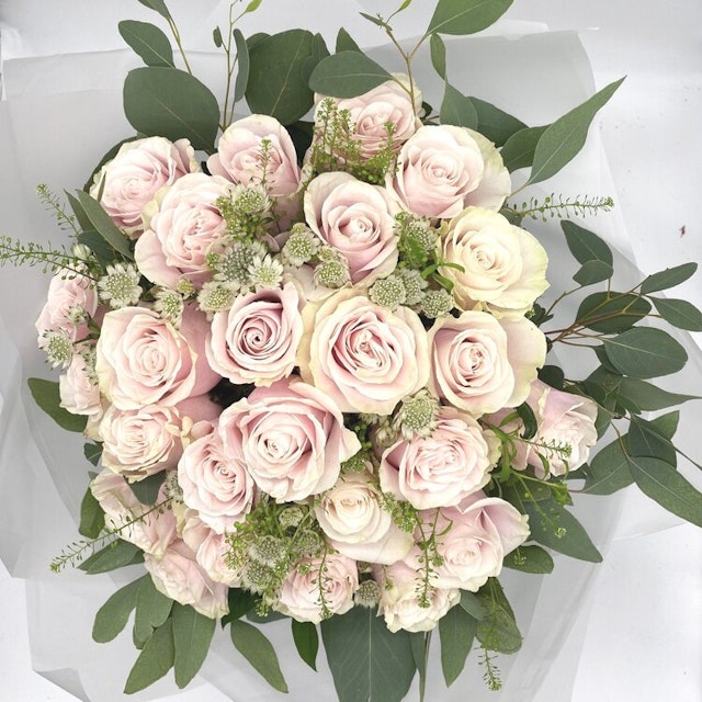 Luxurious Pink Roses