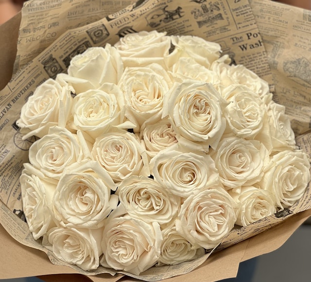 2 dozen white roses