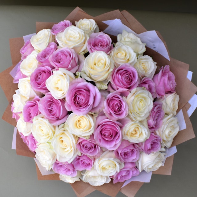 50 Pastel Roses
