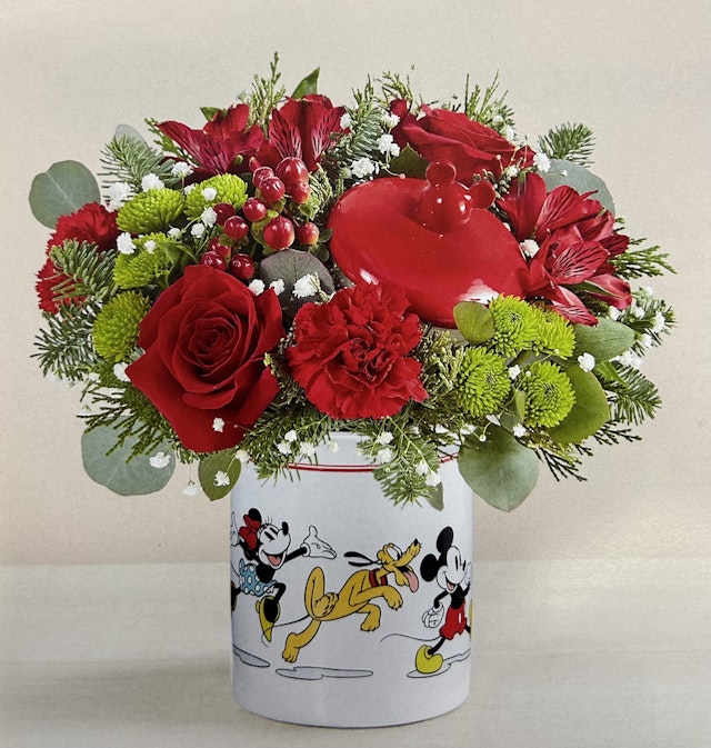 Mickey Mouse Friends