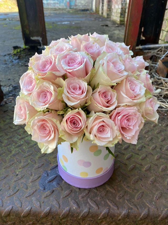 50 Pink Rose Hatbox