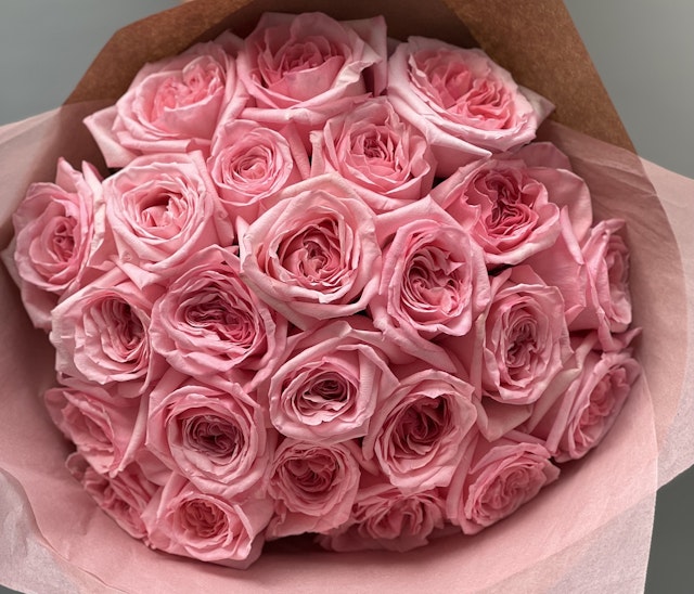 2 dozen pink rose