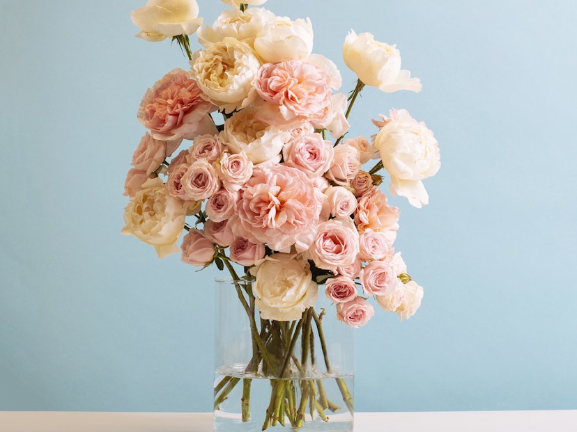 5 tips on what to do with your withering rose petals