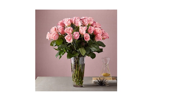 Dozen Light Pink Rose