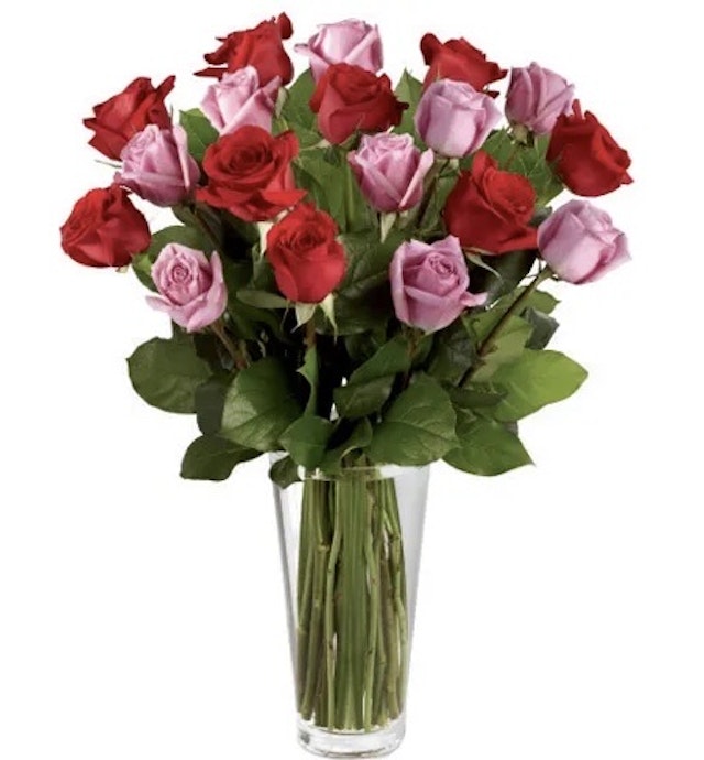 18 sweet purple & red