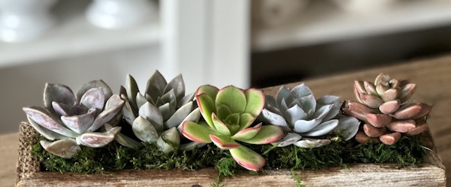 All You Need is Love