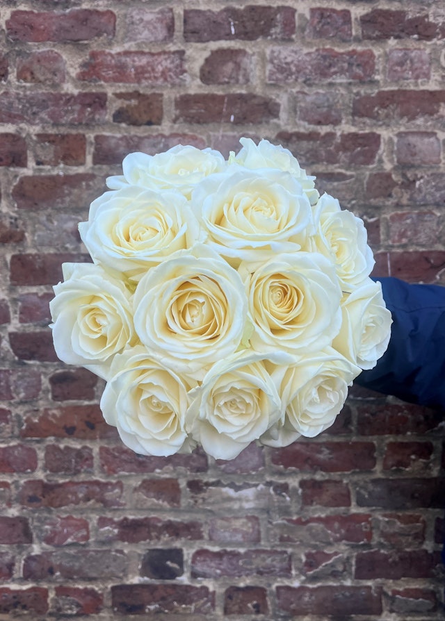 White Rose - A Dozen