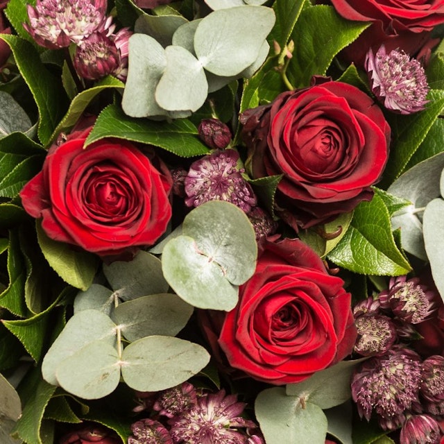 All you need is love 