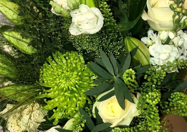 Dancing in the fields