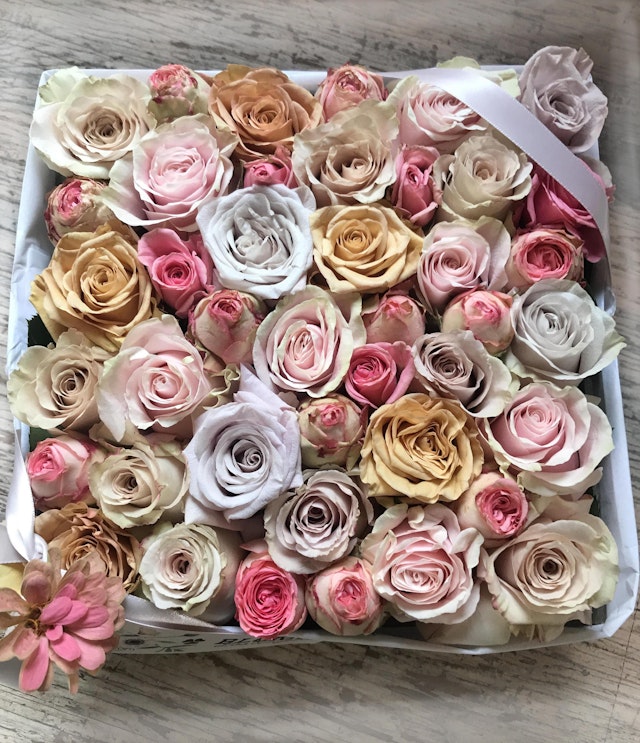 Venice Rose Box