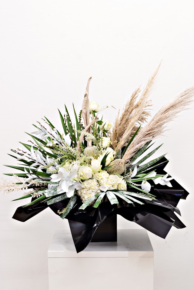 All white on the Nite