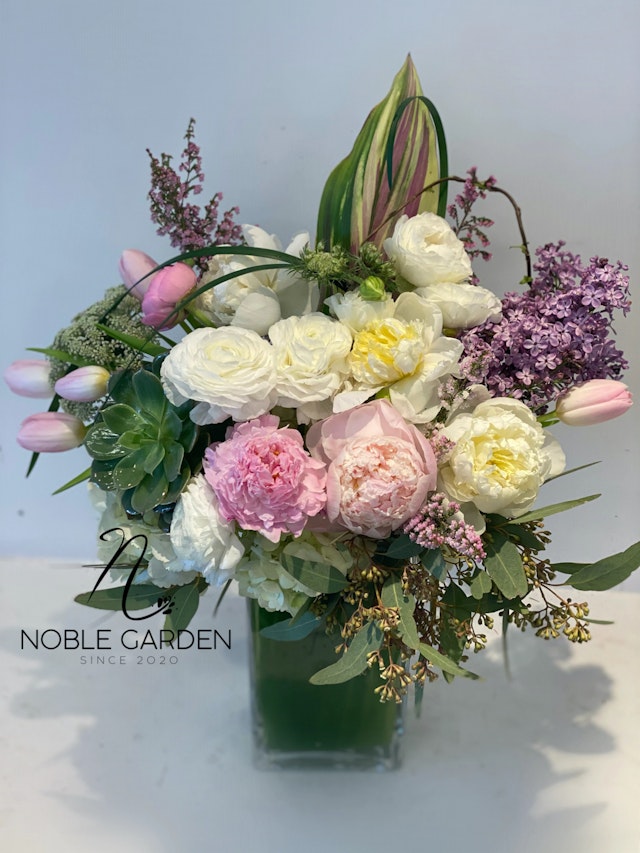 Designed by savash---