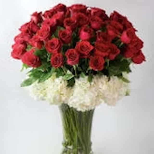 75 luxury roses