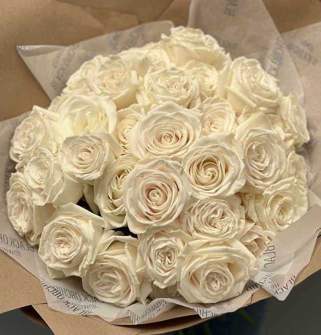 3 dozen white roses