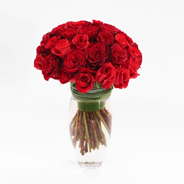 Let’s Fall in Love