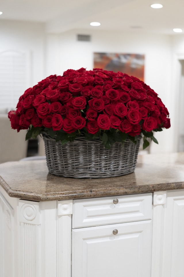 300 red roses basket