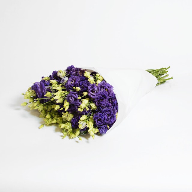 Deep Lisianthus dream