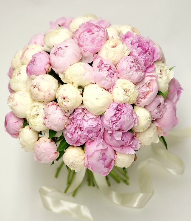 Peony Madness