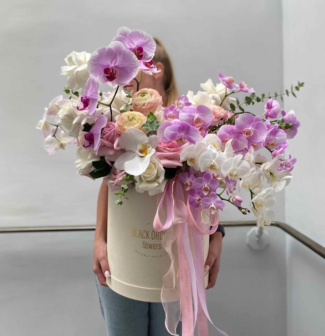 Delicate Enchantment