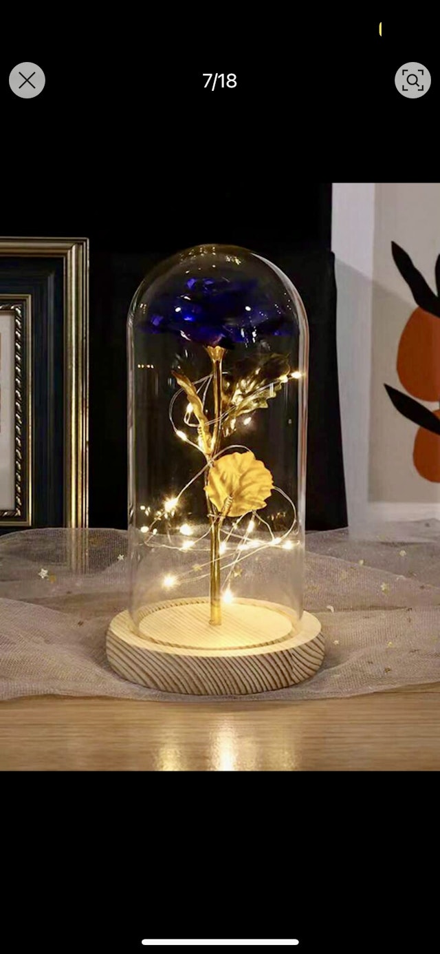 Blue everlasting rose