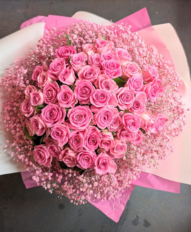 50 Pink Roses