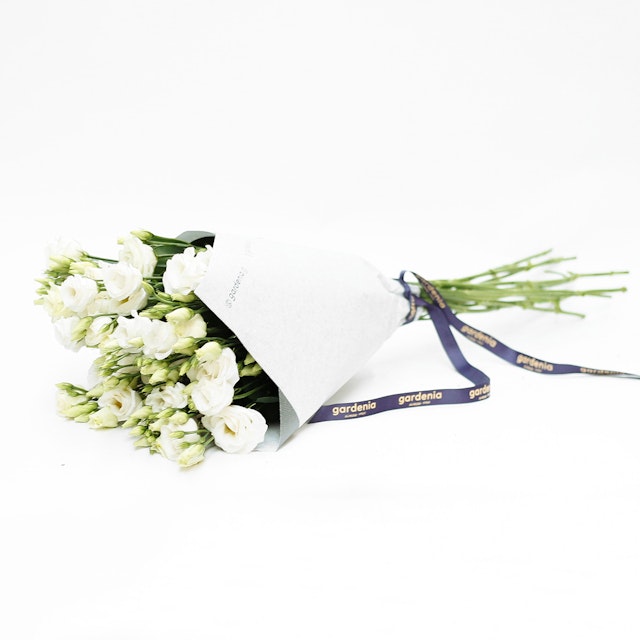 White Lisianthus