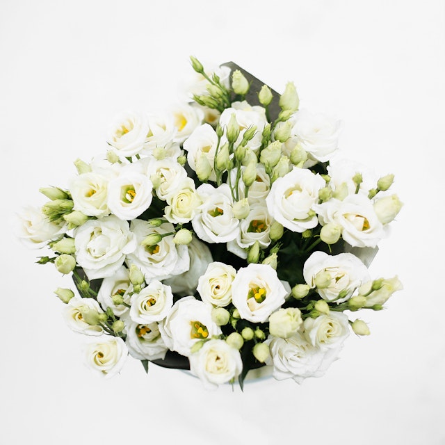 White Lisianthus