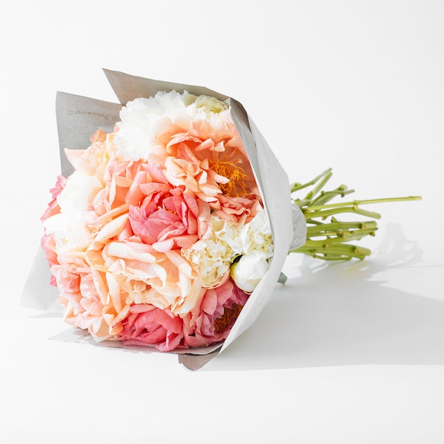 White & Coral Peonies