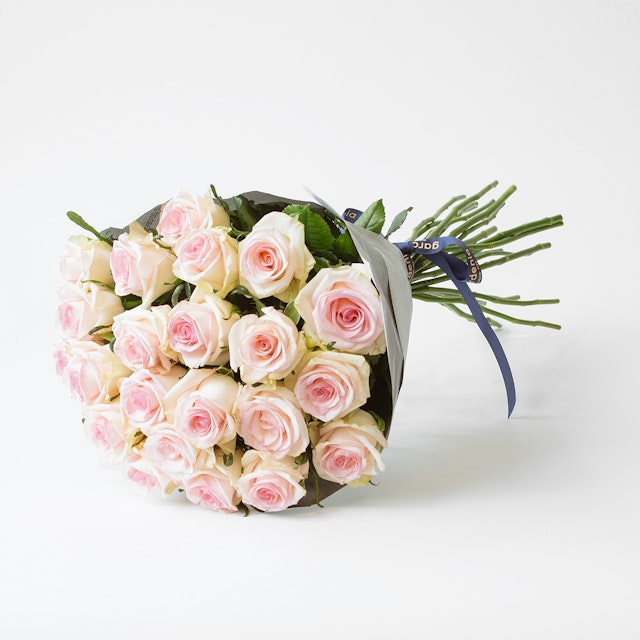 20 Light Pink Rose