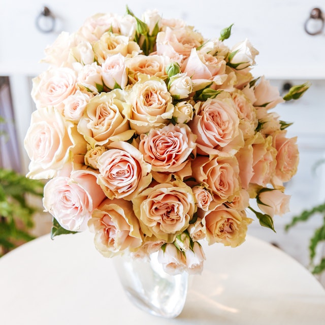 Thinking of You Roses