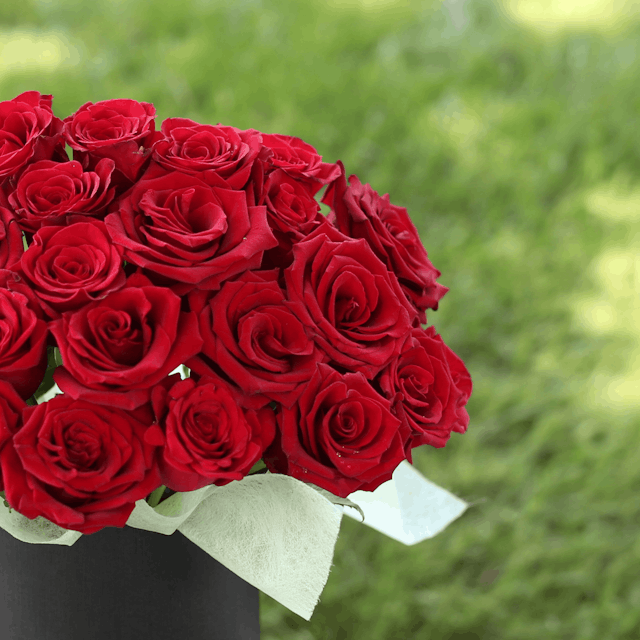 25 red roses