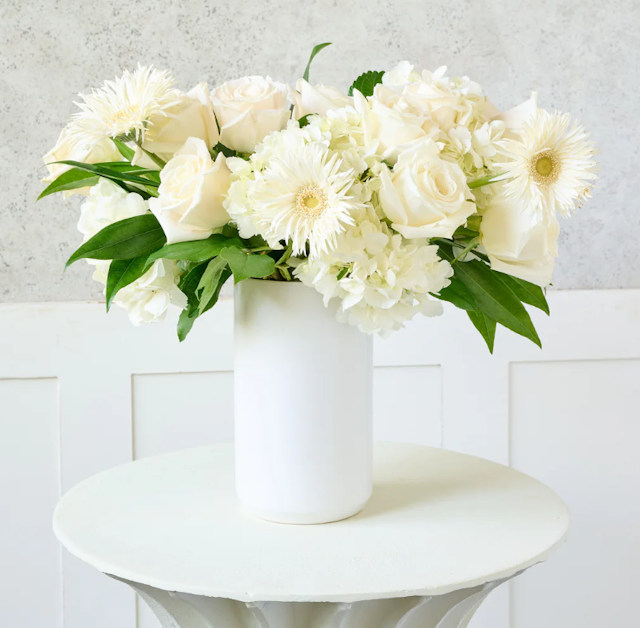 Double Ivory-Ceramic