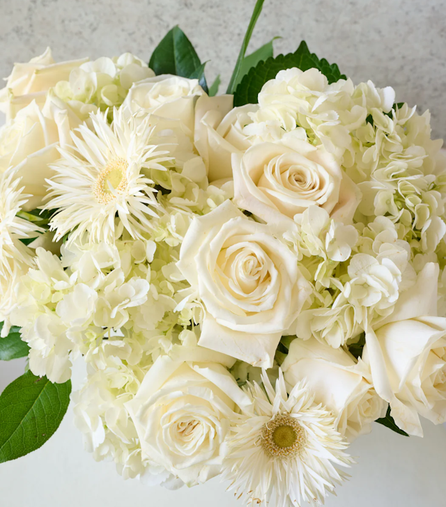 Double Ivory-Ceramic