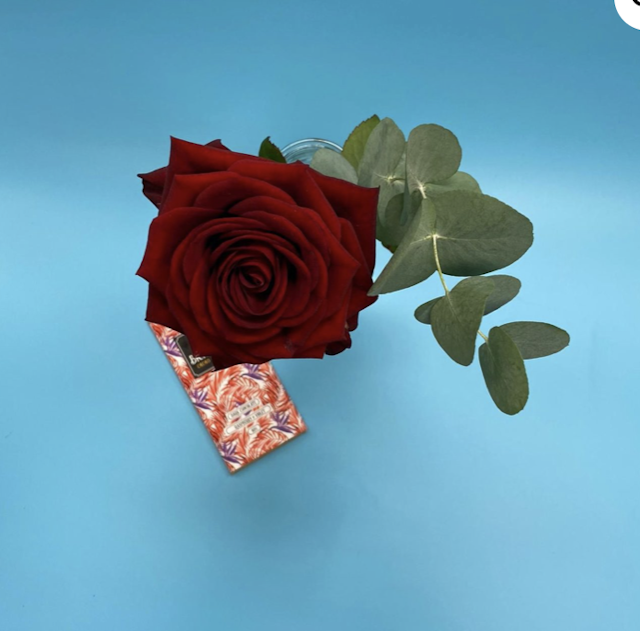 Single Rose with Choc
