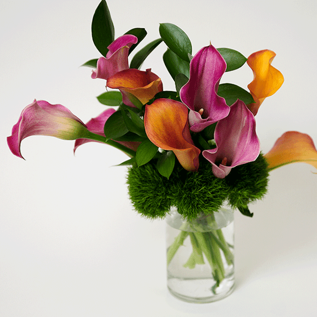 Calla Spray.